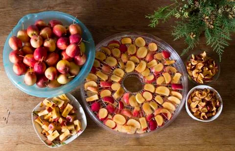 Apples ready for drying 写真素材