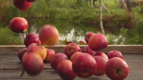 Apples with red sides fall diagonally on a wooden table Stock Footage 233844662