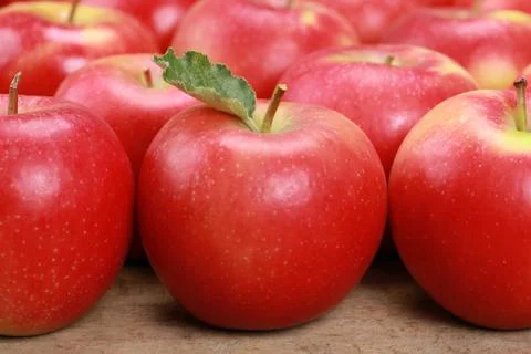 Apples in a row Stock Photos