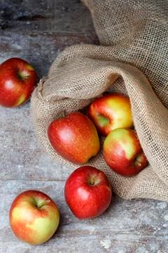 Apples in a sack Stock Photos
