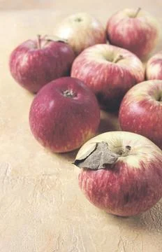 Apples scattered on the table, selective focus, yellow - red, summer variety, Stock Photos