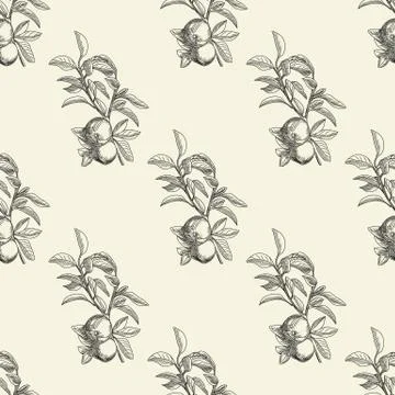 Apples seamless pattern in modern style. Hand draw fruit texture. Stock Illustration