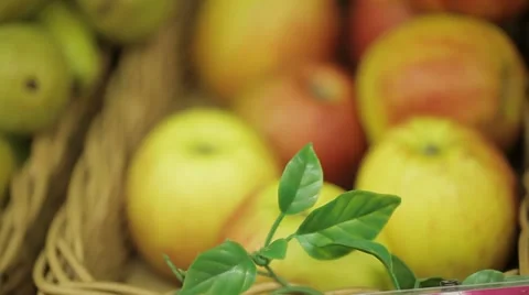 Apples on the shelves. Stock Footage 22244275