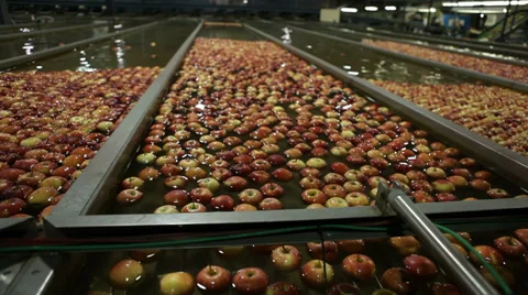 Apples sorted Vídeo Stock 32788394