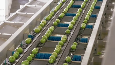 Apples on a sorting table in a warehouse Stock Footage 85108406