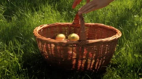 Apples spilled from a basket Stock Footage 8540596