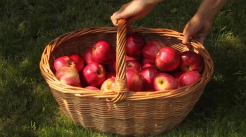 Apples spilling from a basket Stock Footage 8558799