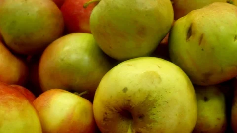 Apples in the store. Stock Footage 112665680