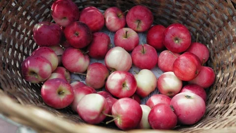 Apples in a straw basket on the table Video stock 250369285