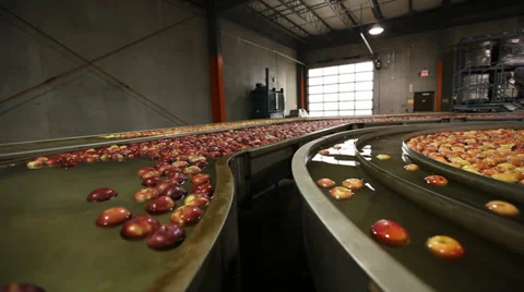 Apples transported in Water Vídeo Stock 32787279