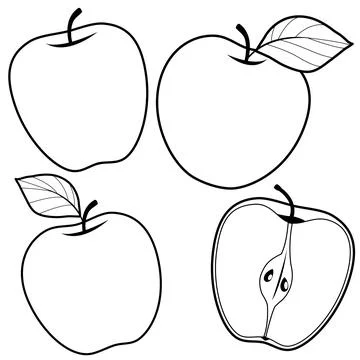Apples. Vector black and white coloring page. Stock Illustration