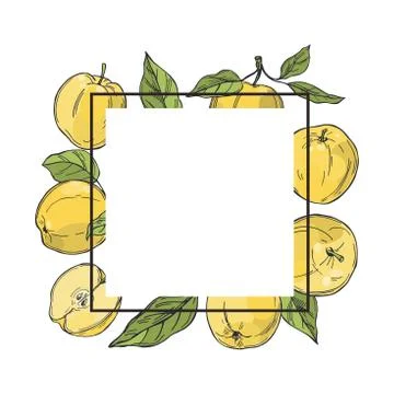 Apples.  Vector  frame. Stock Illustration