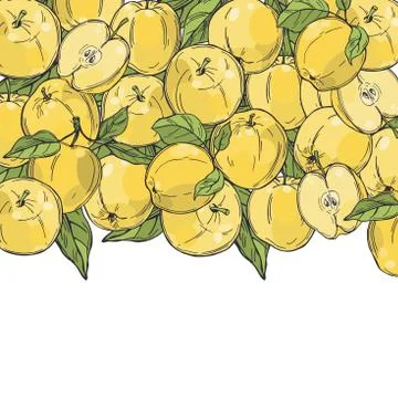 Apples.  Vector  illustration. Stock Illustration