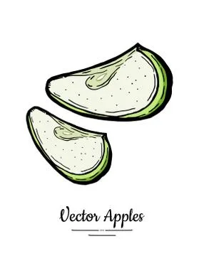 Apples vector isolated. Green fruit hand drawn illustration. Trendy food vege Stock Illustration