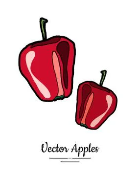 Apples vector isolated. Red fruits hand drawn illustration. Trendy food veget Stock Illustration
