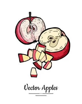 Apples vector isolated set. Half cut, chopped apples. Red pink fruits hand dr Stock Illustration