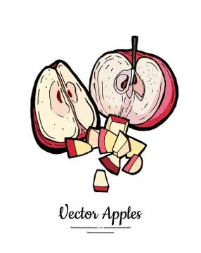 Apples vector isolated set. Half quarter cut chopped apples. Red fruit hand d Stock Illustration