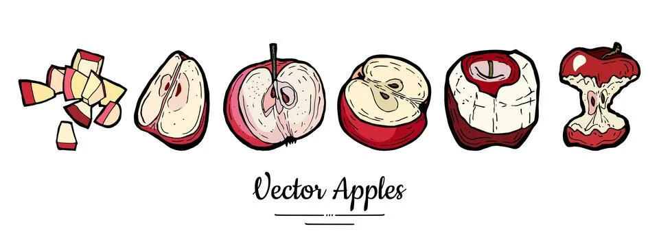 Apples vector isolated set Half quarter cut chopped apples core Red fruit han Stock Illustration