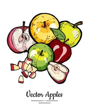 Apples vector isolated set. Red green yellow fruits hand drawn illustration T Stock Illustration