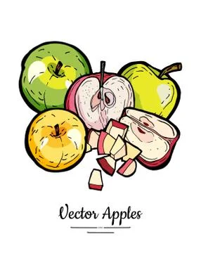 Apples vector isolated set. Red green yellow fruits hand drawn illustration T Stock Illustration