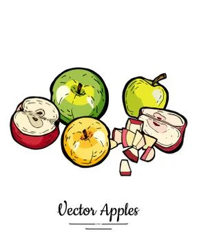 Apples vector isolated set. Red green yellow fruits hand drawn illustration T Stock Illustration