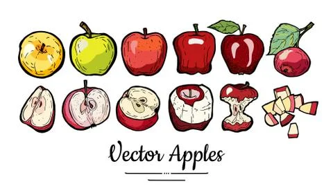 Apples vector isolated set. Red green yellow fruits hand drawn illustration T Stock Illustration