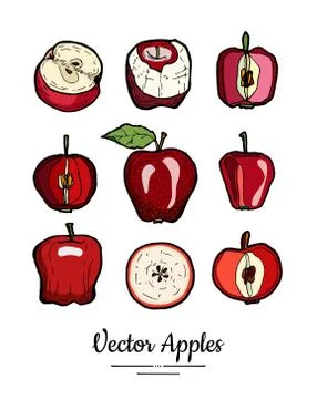 Apples vector isolated set. Red fruits hand drawn illustration. Trendy food v Stock Illustration