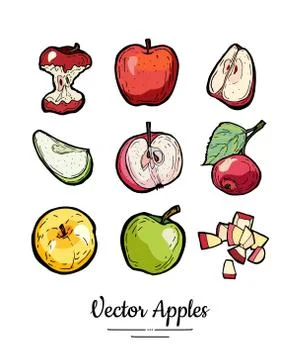 Apples vector isolated set. Red green yellow fruits hand drawn illustration T Stock Illustration