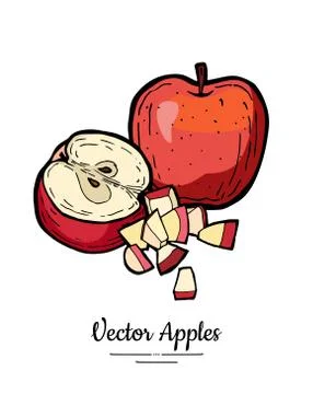 Apples vector isolated set. Whole, half cut, chopped apples. Red fruit hand d Stock Illustration