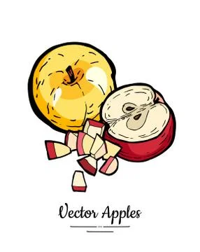 Apples vector isolated set. Whole, half cut, chopped apples. Red yellow fruit Stock Illustration