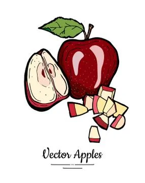 Apples vector isolated set. Whole quarter cut chopped apples. Red fruit hand  Stock Illustration