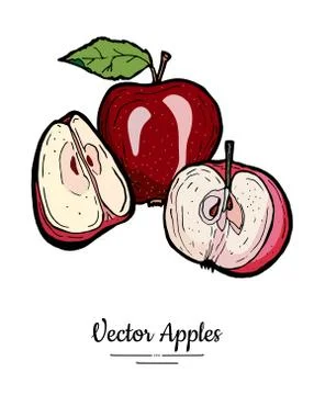 Apples vector isolated set. Whole hal, quarter cut apple. Red fruit hand draw Stock Illustration