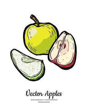 Apples vector isolated set. Whole quarter cut chopped apples. Red green fruit Stock Illustration