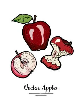 Apples vector isolated set. Whole half cut apples core leaf. Red fruit hand d Stock Illustration