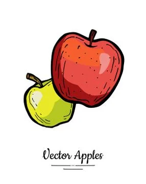 Apples vector isolated. Whole apples. Red green yellow fruits hand drawn illu Stock Illustration