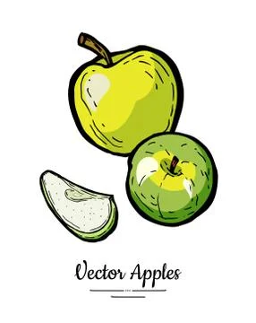 Apples vector isolated. Whole cut apples. Yellow green fruits hand drawn illu Stock Illustration