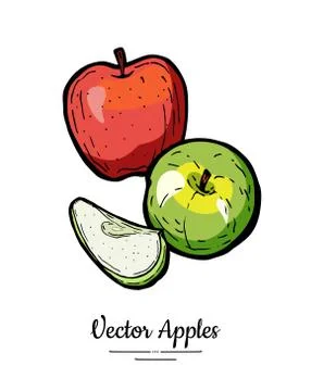 Apples vector isolated. Whole cut apples. Red green fruits hand drawn illustr Stock Illustration