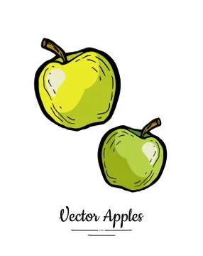 Apples vector isolated. Yellow green fruits hand drawn illustration. Trendy f Stock Illustration