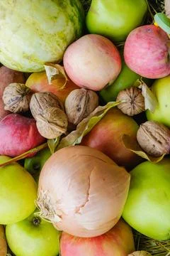 Apples, walnuts, and an onion in a rustic harvest mix symbolizing countrysi.. Stock Photos