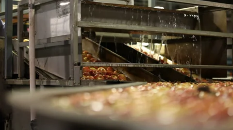 Apples on the water to be sorted Vídeo Stock 32788340