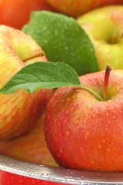 Apples with water drops close-up Stock Photos