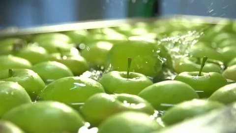 Apples in the Water Stock Footage