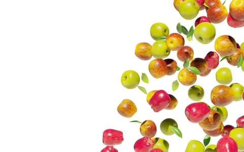 Apples on white background. Copy space. Foto stock
