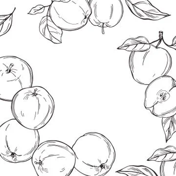 Apples on white background. Stock Illustration