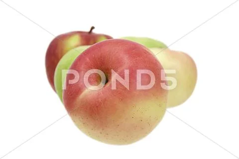 Apples on a white background Stock Photos