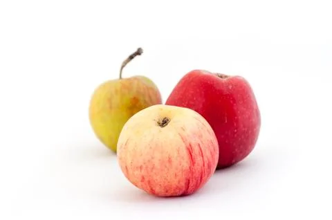 Apples on a white background Stock Photos