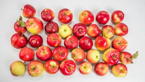 Apples on a white background. View from above. 写真素材