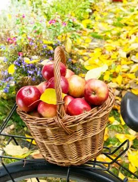 Apples in wicker basket Stock Photos