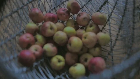 Apples on the wire basket 動画素材 83730106