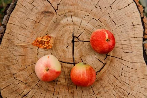 Apples on the wooden table Stock Photos